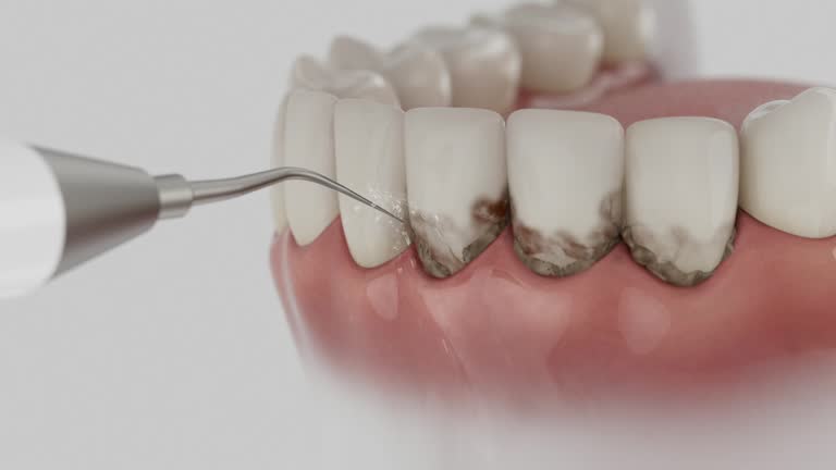 Reliable Dental contractor in Fairhope, PA by Dentist Open Now